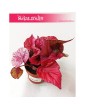Begonia Rex Beleaf Inca Flame, Begonia Rex, Begonia Beleaf, Begonia, Begonia Inca Flame 1