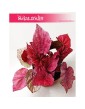 Begonia Rex Beleaf Inca Flame, Begonia Rex, Begonia Beleaf, Begonia, Begonia Inca Flame 2