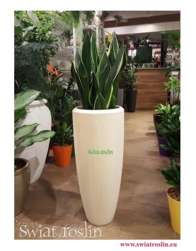 Donica naturalna - Polystone Partner Natural, duża roślina