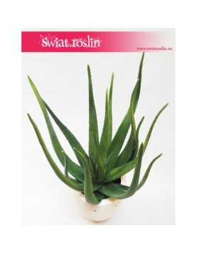 Aloes Sztuczny, Aloe Vera, Aloe Plant 1