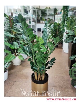 Zamioculcas sztuczny, Zamiokulkas sztuczny, sklep online z roślinami sztucznymi