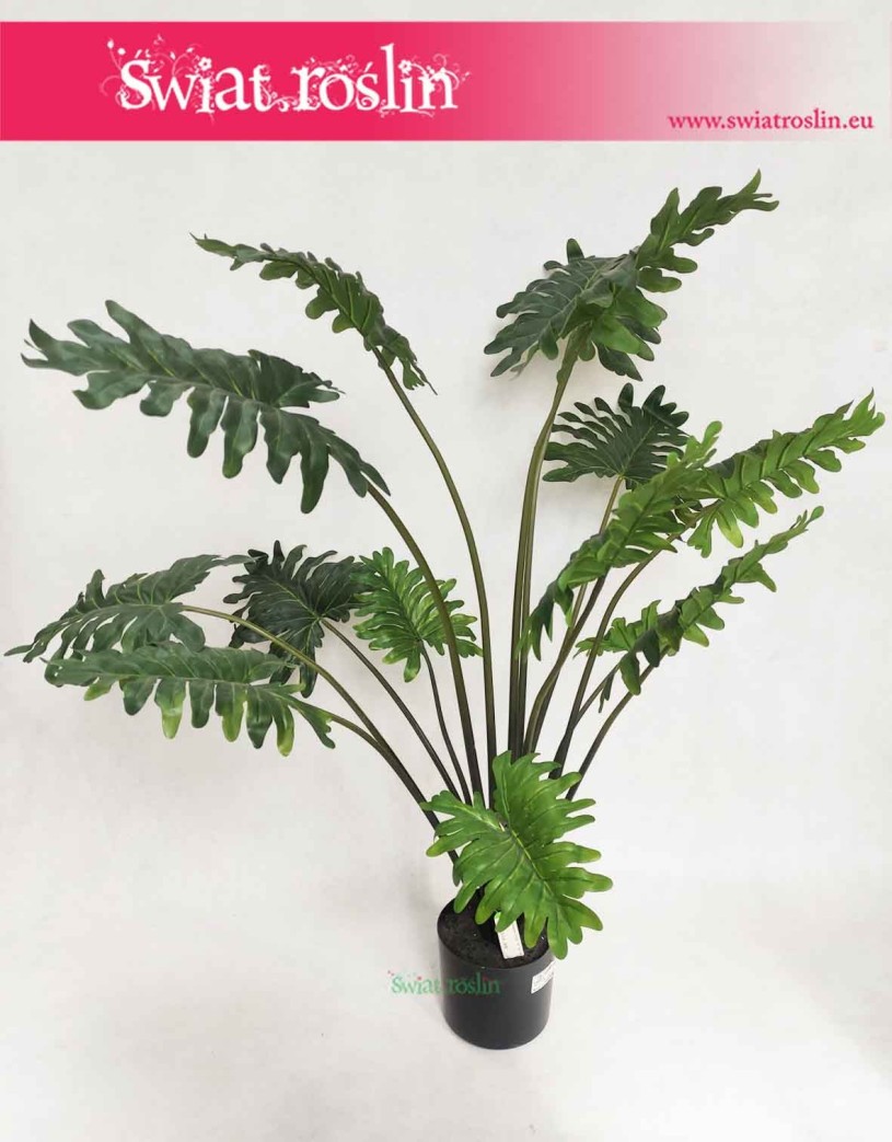 Philodendron sztuczny, Sztuczny Filodendron, sklep z roślinami sztucznymi