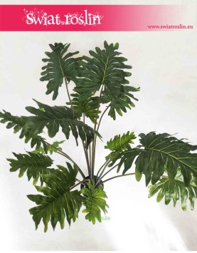 Philodendron sztuczny, Sztuczny Filodendron, rośliny sztuczne online