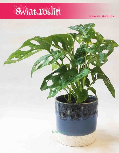 Osłonka cylindryczna lany niebieski, ceramiczna, szkliwiona 2