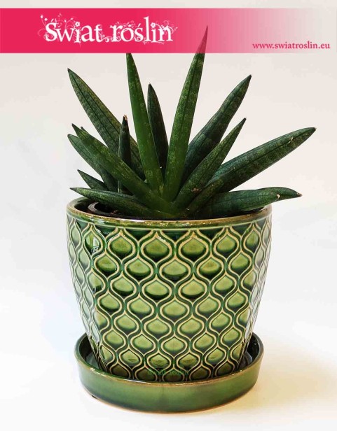 Doniczka ceramiczna zielona - romby 2