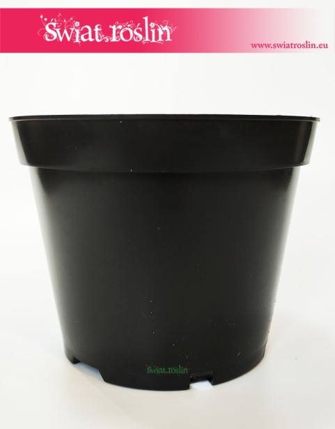 Doniczka produkcyjna czarna