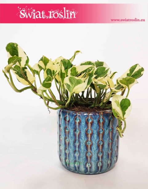 Osłonka cylinder niebieski - tłoczona, donica ceramiczna niebieska