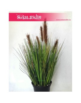 Trawa doniczkowa, Trawa sztuczna Foxtail – Grass Foxtail Brown, Trawa Foxtail brązowa, Sztuczna trawa 1