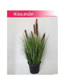 Trawa doniczkowa, Trawa sztuczna Foxtail – Grass Foxtail Brown, Trawa Foxtail brązowa, Sztuczna trawa 2
