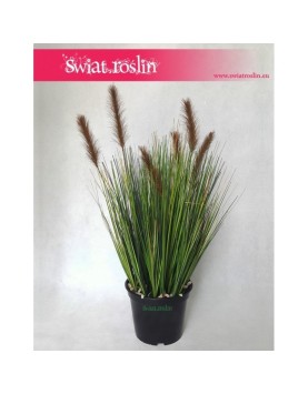 Trawa doniczkowa, Trawa sztuczna Foxtail – Grass Foxtail Brown, Trawa Foxtail brązowa, Sztuczna trawa 4