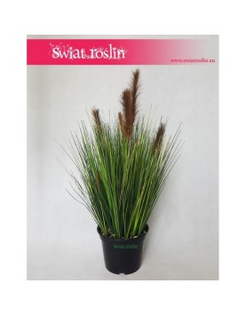 Trawa doniczkowa, Trawa sztuczna Foxtail – Grass Foxtail Brown, Trawa Foxtail brązowa, Sztuczna trawa 5
