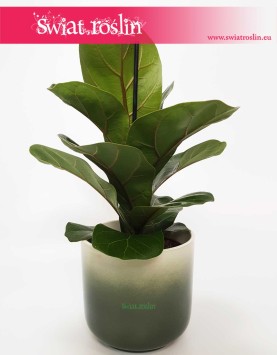 Osłonka Ceramiczna Zielona Cylinder obła u dołu, sklep z osłonkami donicami roślinami internetowy online