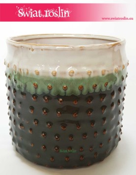 Osłonka Ceramiczna W Kropki Z Zielonym