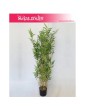 Bambus sztuczny, Bamboo Oriental, Roślina sztuczna, Bambus,  Sztuczny Bambus 3