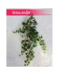 Bluszcz pospolity, Bluszcz sztuczny, Hedera Helix Green - roślina sztuczna 1