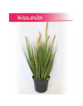 Trawa doniczkowa, Trawa sztuczna Foxtail – Grass Foxtail Green, Trawa Foxtail Zielona, Sztuczna trawa 2