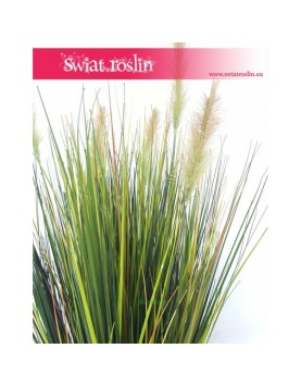 Trawa doniczkowa, Trawa sztuczna Foxtail – Grass Foxtail Green, Trawa Foxtail Zielona, Sztuczna trawa 3