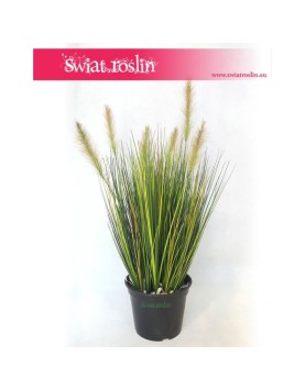 Trawa doniczkowa, Trawa sztuczna Foxtail – Grass Foxtail Green, Trawa Foxtail Zielona, Sztuczna trawa 4