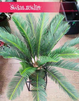 Sztuczny Cycas Revoluta roślina do biura do firm do mieszkania, Sagowiec wygięty roślina sztuczna