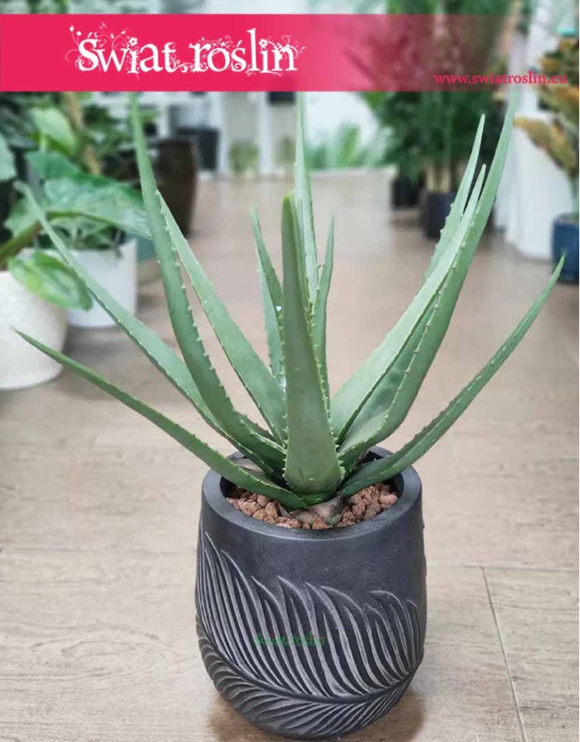 Aloes Sztuczny, Aloe Vera, Aloe Plant, sklep z roślinami sztucznymi online dla biura dla firmy