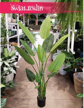 Sztuczna Strelitzia Nicolai do biura do mieszkania do firmy z dostawą lub stacjonarnie w Krakowie, Strelicja biała sztuczna