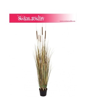 cattail-grass-120-roslina-sztuczna