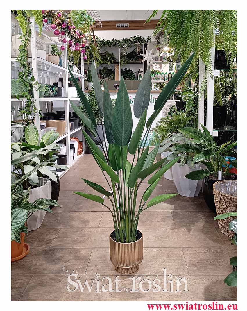 Heliconia sztuczna do biura do firmy do mieszkania do kawiarni do salonu dla Vipów kup roślinę online, sztuczna Helikonia - roślina sztuczna