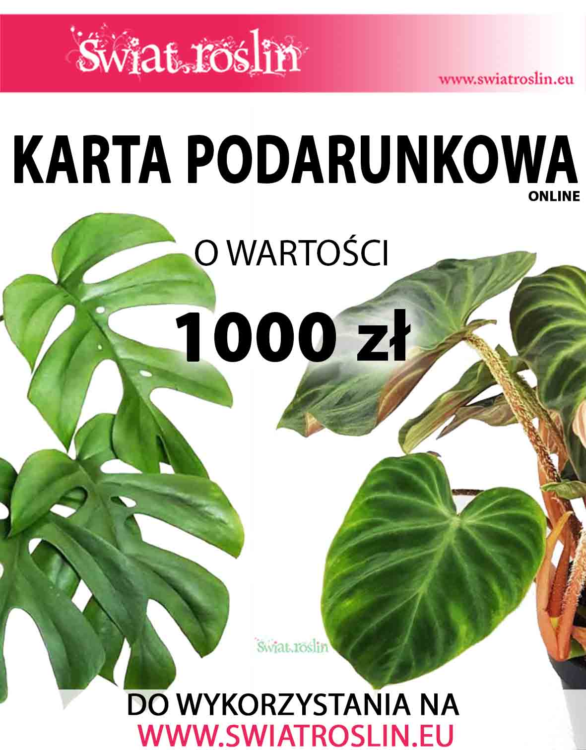 Karta podarunkowa na rośliny,  Bon na rośliny, Voucher na rośliny doniczkowe, sklep online, 1000 zł